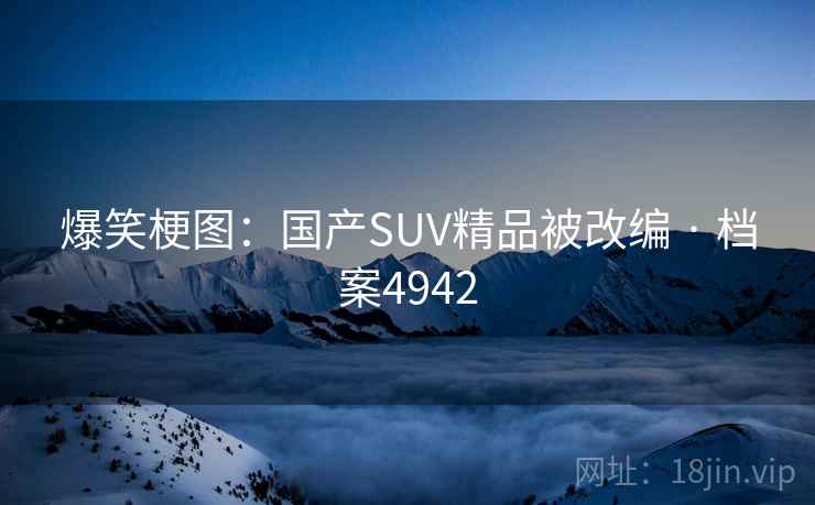 爆笑梗图:国产SUV精品被改编 · 档案4942 第2张 爆笑梗图:国产SUV精品被改编 · 档案4942 第2张