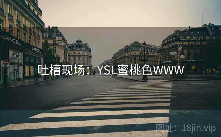 吐槽现场：YSL蜜桃色WWW  第2张