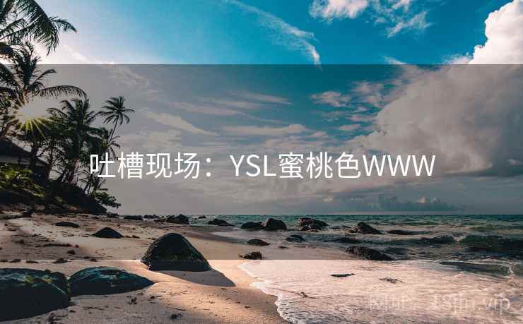 吐槽现场：YSL蜜桃色WWW