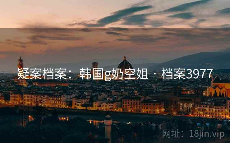 疑案档案：韩国g奶空姐 · 档案3977  第2张