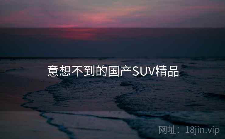 意想不到的国产SUV精品  第2张